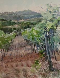 Grapes of Montalcino